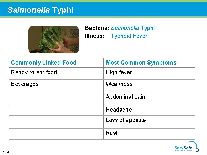 Salmonella Typhi Bacteria: Salmonella Typhi Illness: Typhoid Fever Commonly Linked Food Most Common Symptoms