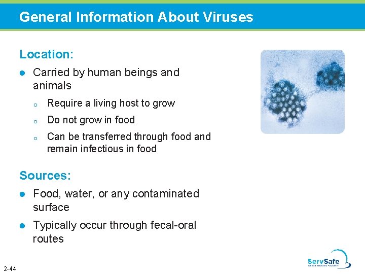 General Information About Viruses Location: l Carried by human beings and animals o Require