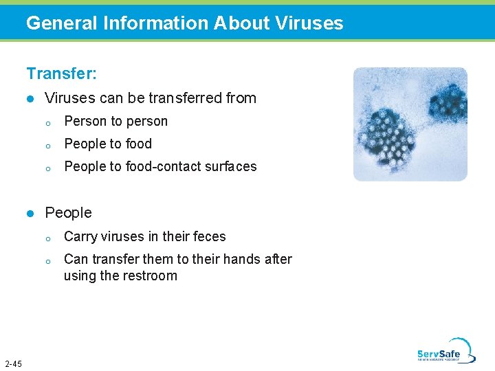 General Information About Viruses Transfer: l l 2 -45 Viruses can be transferred from