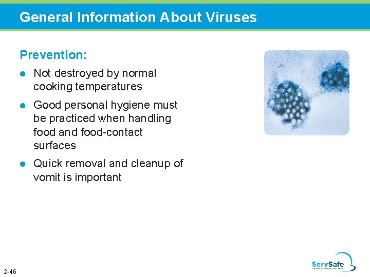 General Information About Viruses Prevention: 2 -46 l Not destroyed by normal cooking temperatures