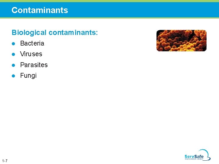 Contaminants Biological contaminants: 1 -7 l Bacteria l Viruses l Parasites l Fungi 