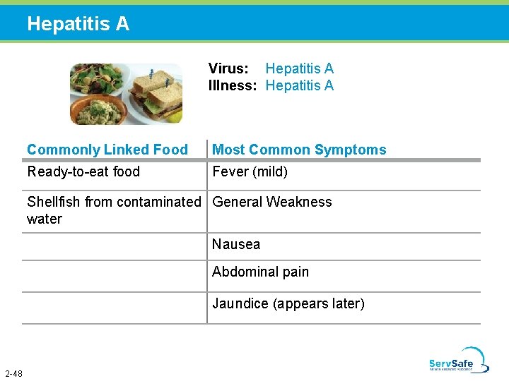 Hepatitis A Virus: Hepatitis A Illness: Hepatitis A Commonly Linked Food Most Common Symptoms