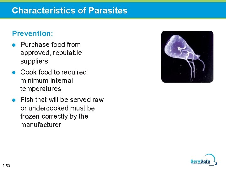 Characteristics of Parasites Prevention: 2 -53 l Purchase food from approved, reputable suppliers l