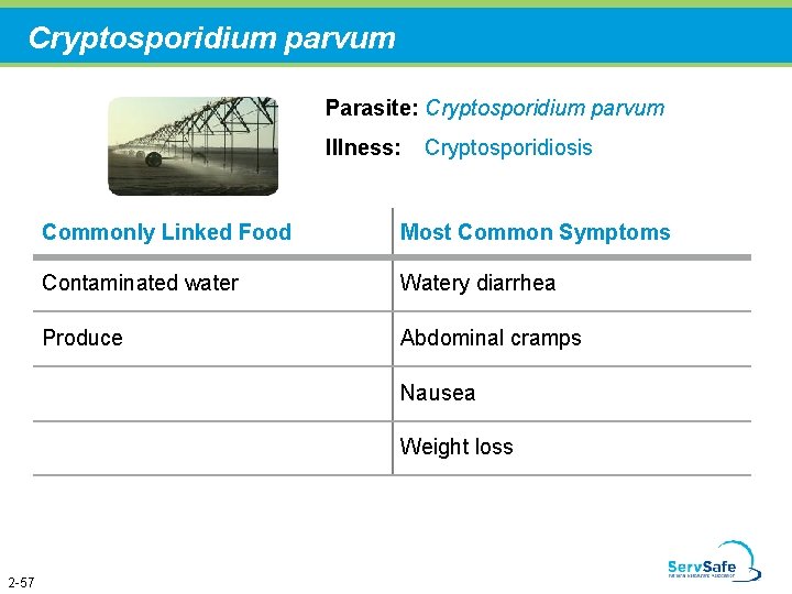 Cryptosporidium parvum Parasite: Cryptosporidium parvum Illness: Cryptosporidiosis Commonly Linked Food Most Common Symptoms Contaminated