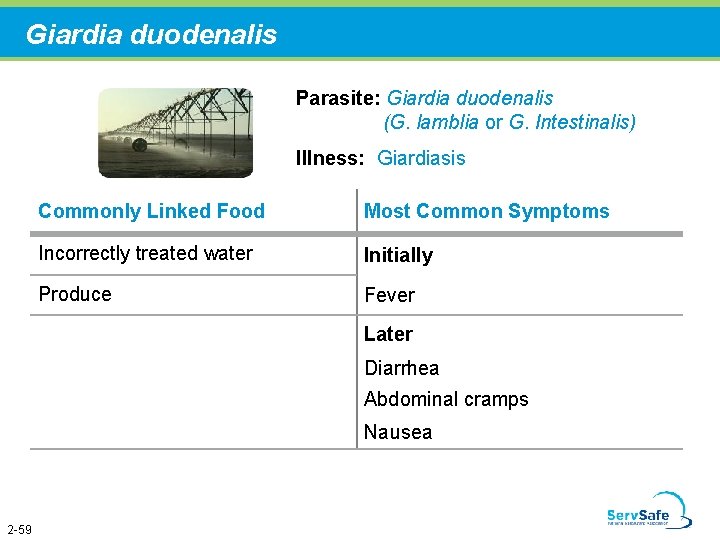 Giardia duodenalis Parasite: Giardia duodenalis (G. lamblia or G. Intestinalis) Illness: Giardiasis Commonly Linked