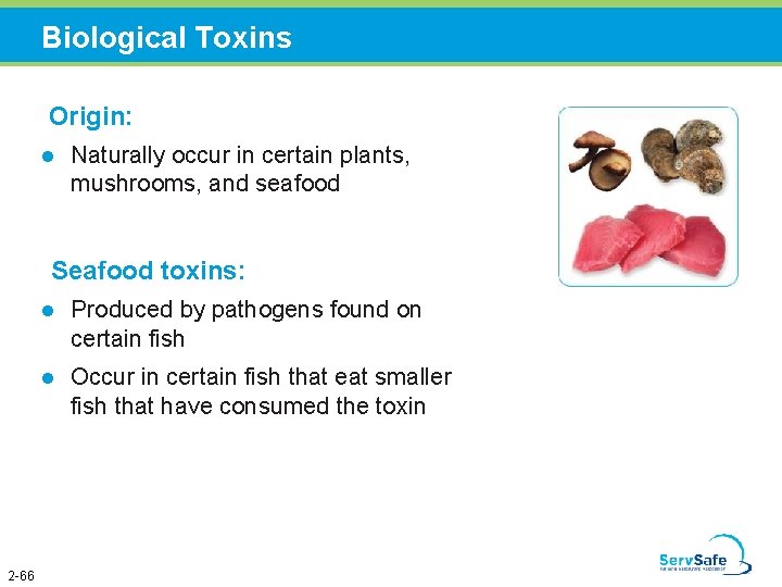 Biological Toxins Origin: l Naturally occur in certain plants, mushrooms, and seafood Seafood toxins: