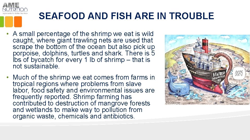 SEAFOOD AND FISH ARE IN TROUBLE • A small percentage of the shrimp we