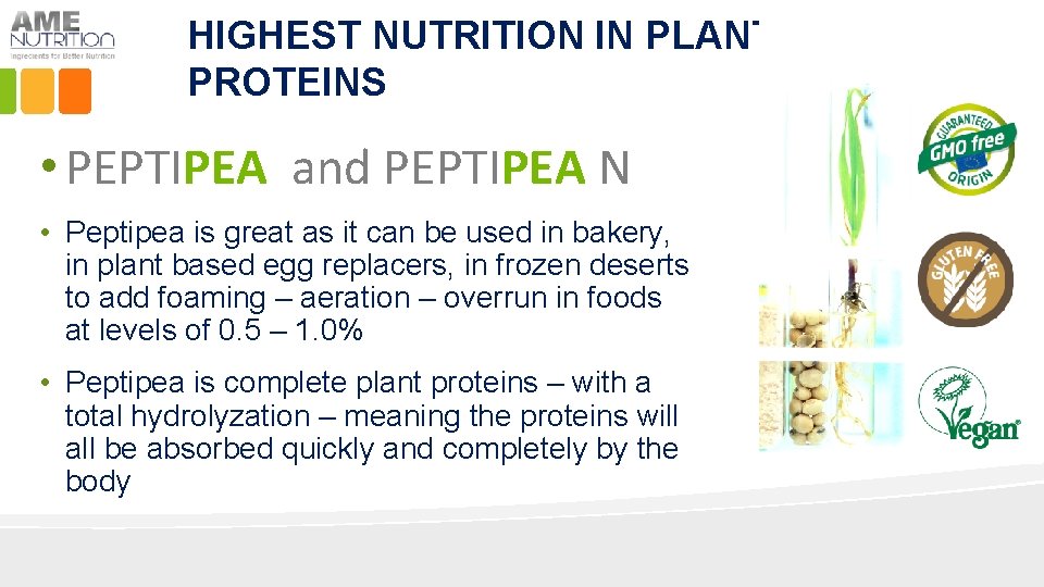 HIGHEST NUTRITION IN PLANT PROTEINS • PEPTIPEA and PEPTIPEA N • Peptipea is great