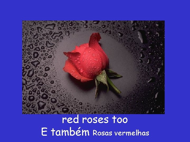 red roses too E também Rosas vermelhas 