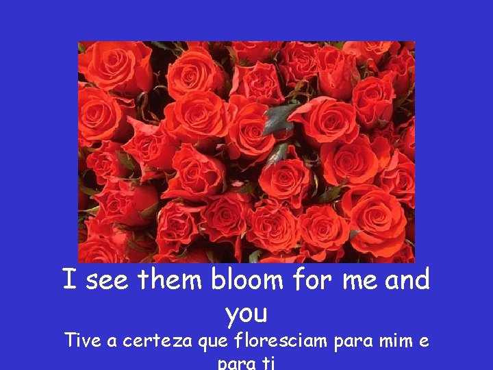 I see them bloom for me and you Tive a certeza que floresciam para