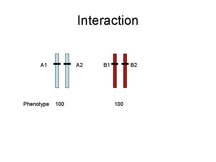 Interaction A 1 Phenotype A 2 100 B 1 B 2 100 
