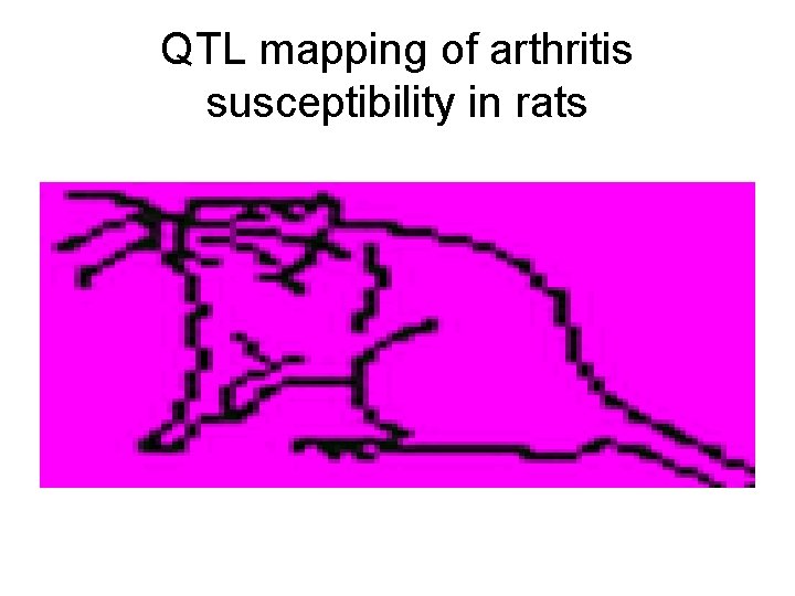 QTL mapping of arthritis susceptibility in rats 