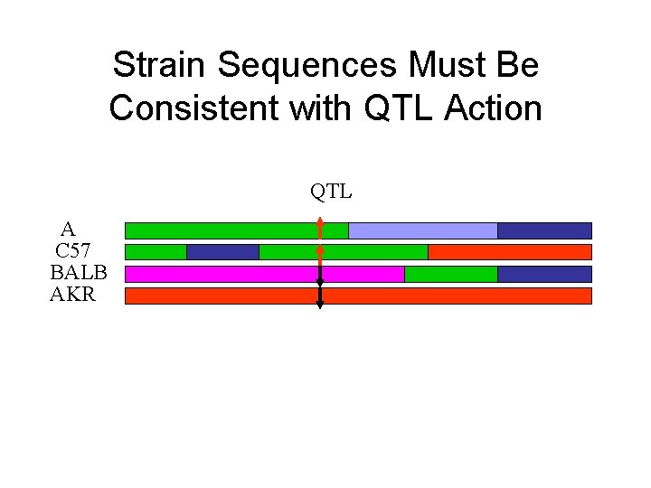 Strain Sequences Must Be Consistent with QTL Action QTL A C 57 BALB AKR