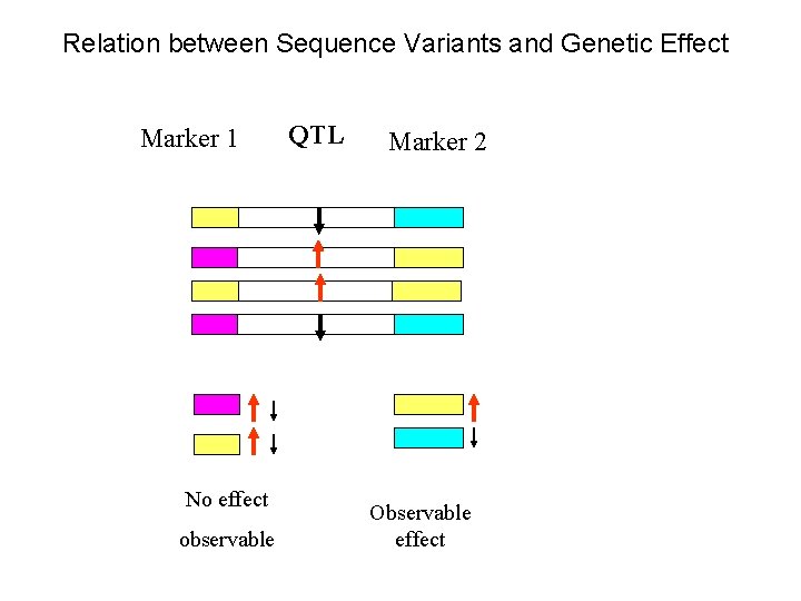 Relation between Sequence Variants and Genetic Effect Marker 1 No effect observable QTL Marker