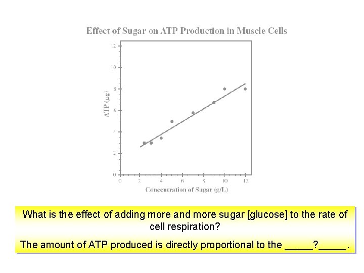 What is the effect of adding more and more sugar [glucose] to the rate