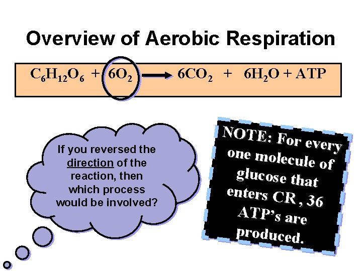 Overview of Aerobic Respiration C 6 H 12 O 6 + 6 O 2