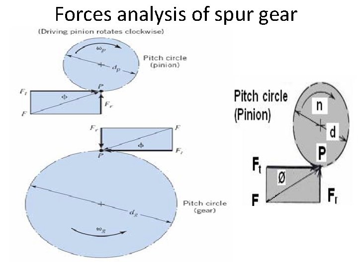 Forces analysis of spur gear 