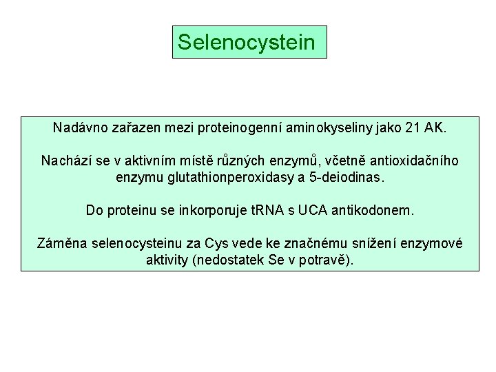 Selenocystein Nadávno zařazen mezi proteinogenní aminokyseliny jako 21 AK. Nachází se v aktivním místě