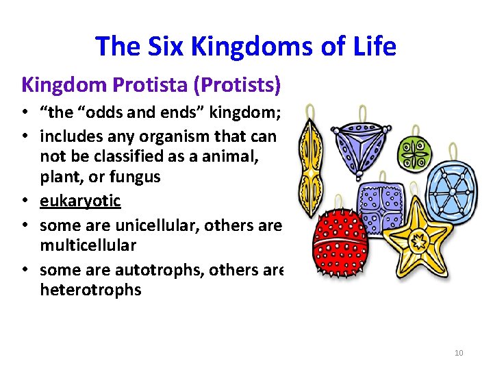 The Six Kingdoms of Life Kingdom Protista (Protists) • “the “odds and ends” kingdom;