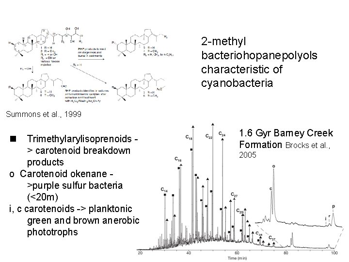 2 -methyl bacteriohopanepolyols characteristic of cyanobacteria Summons et al. , 1999 n Trimethylarylisoprenoids >