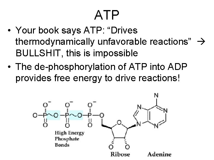 ATP • Your book says ATP: “Drives thermodynamically unfavorable reactions” BULLSHIT, this is impossible