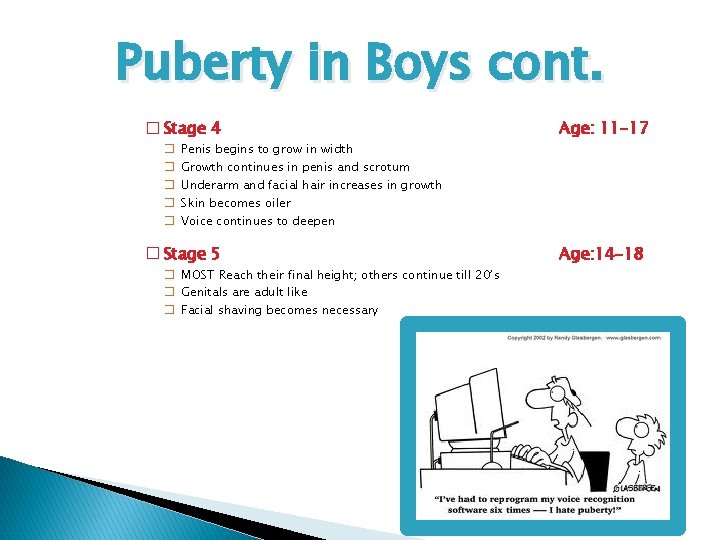 Puberty in Boys cont. � Stage 4 � � � Penis begins to grow