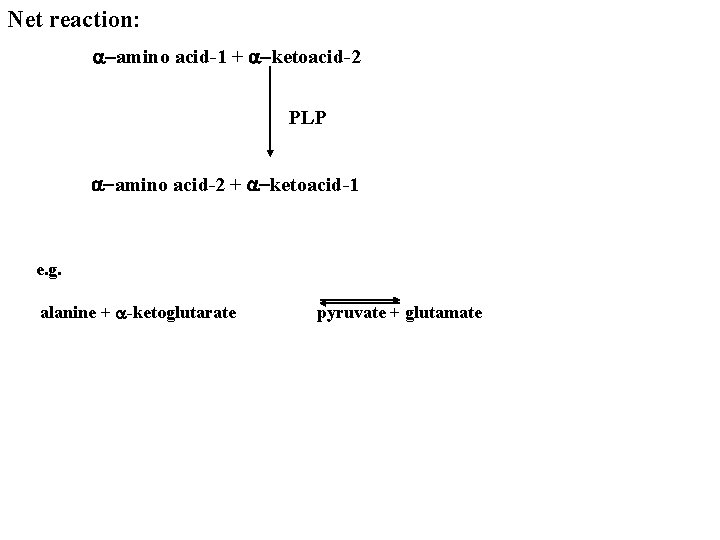 Net reaction: a-amino acid-1 + a-ketoacid-2 PLP a-amino acid-2 + a-ketoacid-1 e. g. alanine