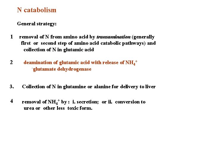 N catabolism General strategy: 1· · removal of N from amino acid by transamination