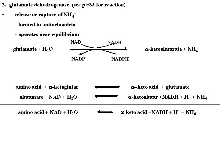 2. glutamate dehydrogenase (see p 533 for reaction) • - release or capture of