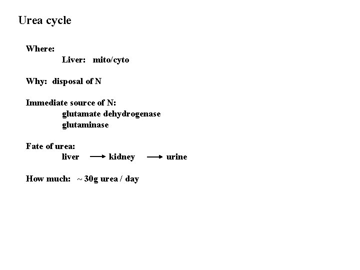 Urea cycle Where: Liver: mito/cyto Why: disposal of N Immediate source of N: glutamate