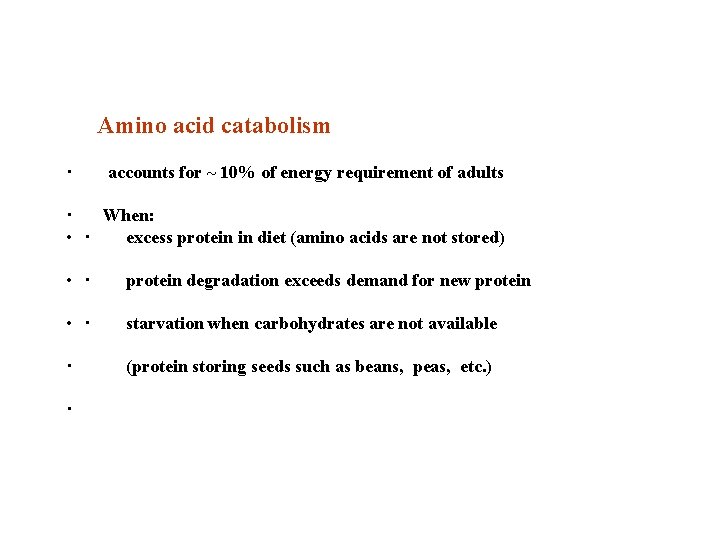 Amino acid catabolism · accounts for ~ 10% of energy requirement of adults ·