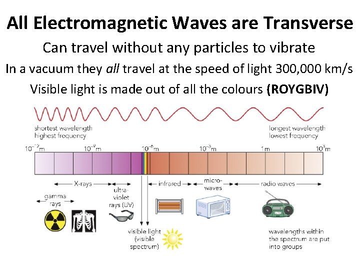 All Electromagnetic Waves are Transverse Can travel without any particles to vibrate In a