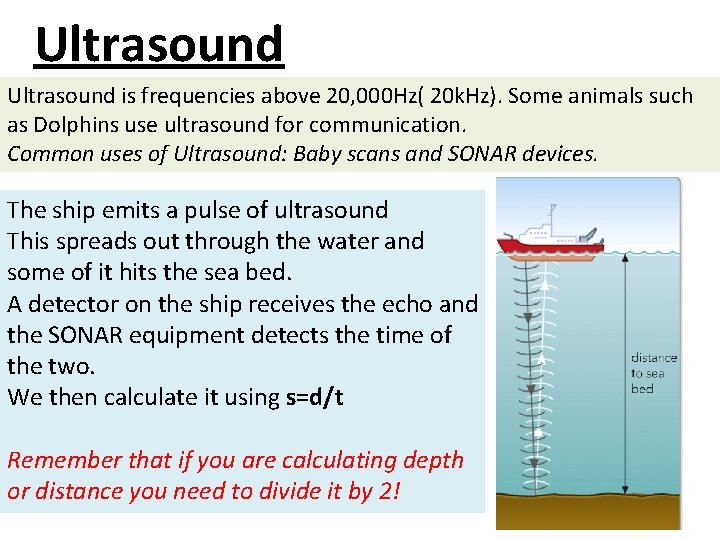 Ultrasound is frequencies above 20, 000 Hz( 20 k. Hz). Some animals such as