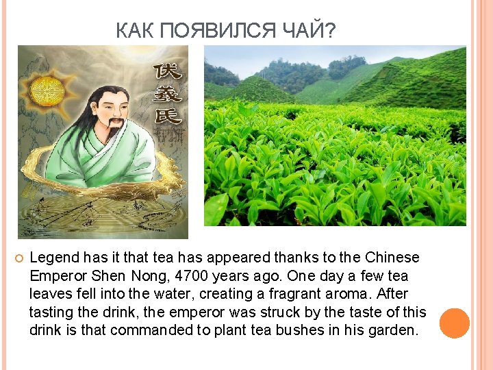 КАК ПОЯВИЛСЯ ЧАЙ? Legend has it that tea has appeared thanks to the Chinese