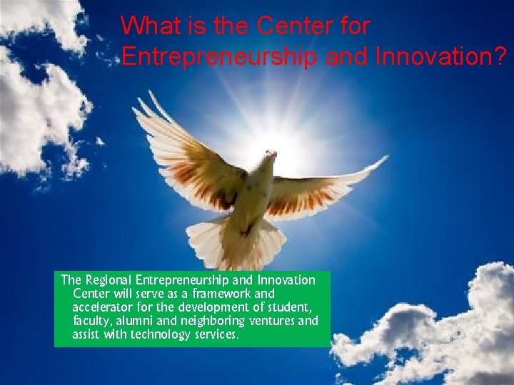 What is the Center for Entrepreneurship and Innovation? The Regional Entrepreneurship and Innovation Center