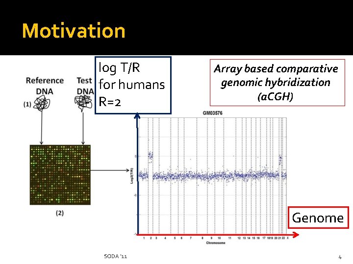 Motivation log T/R for humans R=2 Array based comparative genomic hybridization (a. CGH) Genome
