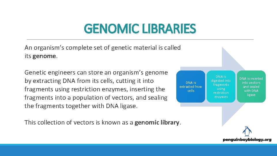 GENOMIC LIBRARIES An organism’s complete set of genetic material is called its genome. Genetic