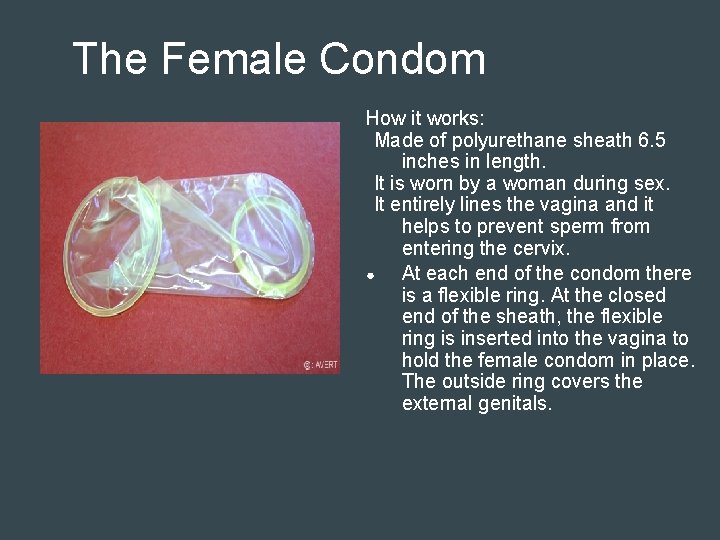 The Female Condom How it works: Made of polyurethane sheath 6. 5 inches in