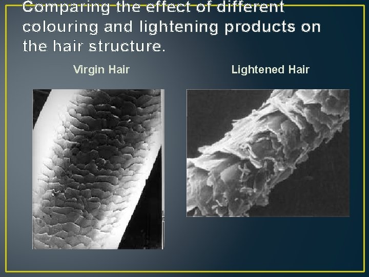 Comparing the effect of different colouring and lightening products on the hair structure. Virgin