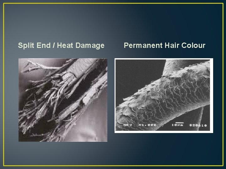 Split End / Heat Damage Permanent Hair Colour 