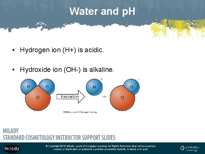 Water and p. H • Hydrogen ion (H+) is acidic. • Hydroxide ion (OH-)