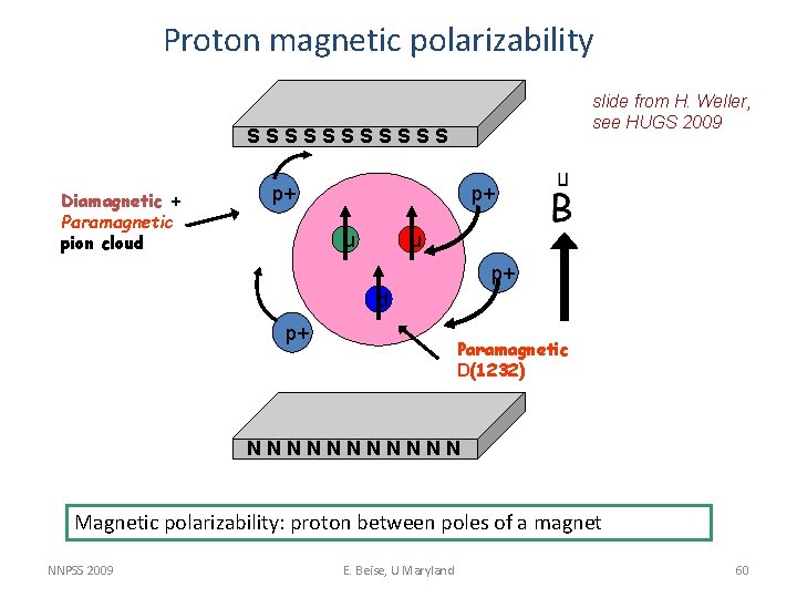 Proton magnetic polarizability slide from H. Weller, see HUGS 2009 SSSSSS Diamagnetic + Paramagnetic