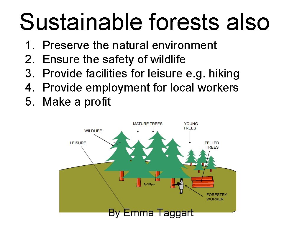 Sustainable forests also 1. 2. 3. 4. 5. Preserve the natural environment Ensure the