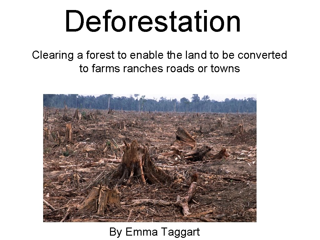 Deforestation Clearing a forest to enable the land to be converted to farms ranches