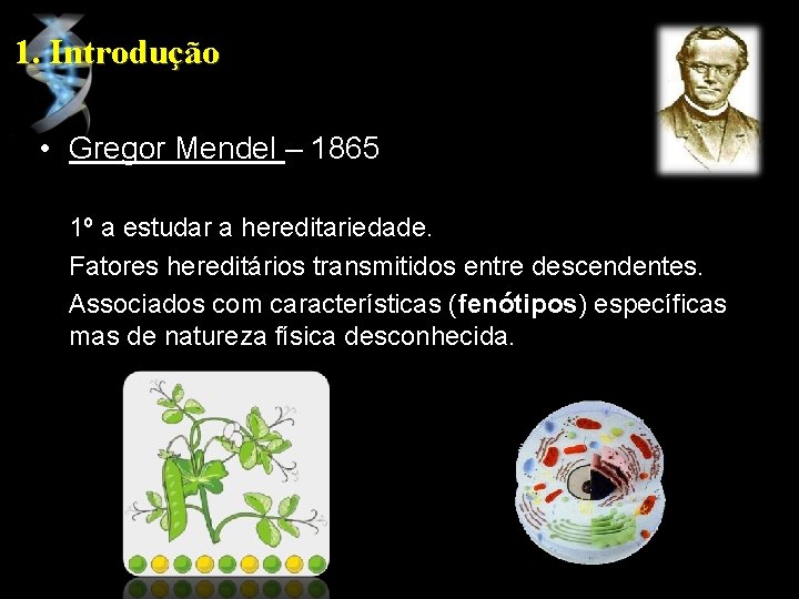 1. Introdução • Gregor Mendel – 1865 1º a estudar a hereditariedade. Fatores hereditários