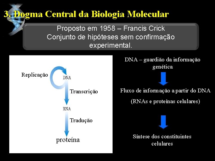 3. Dogma Central da Biologia Molecular Proposto em 1958 – Francis Crick Conjunto de