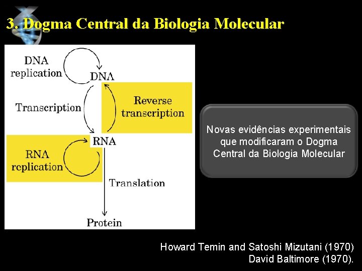 3. Dogma Central da Biologia Molecular Novas evidências experimentais que modificaram o Dogma Central