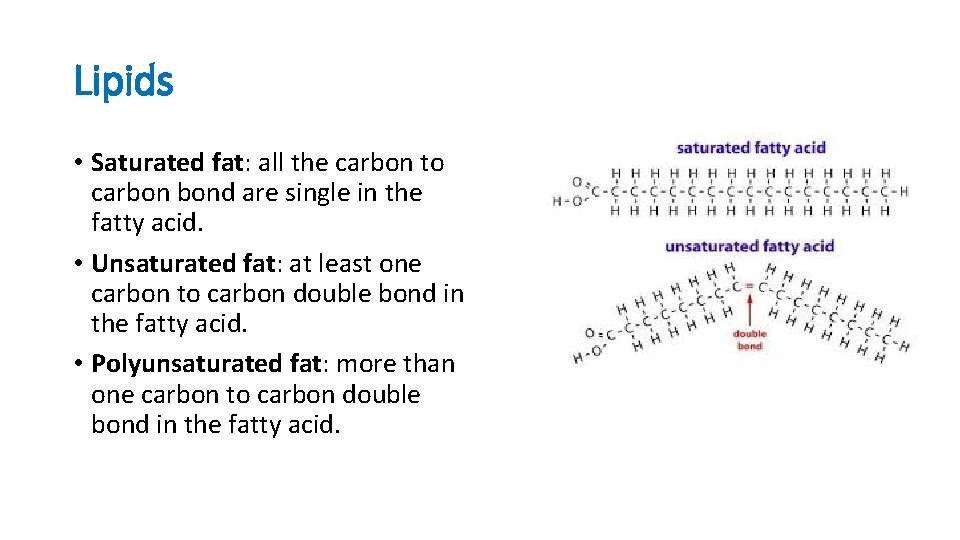 Lipids • Saturated fat: all the carbon to carbon bond are single in the