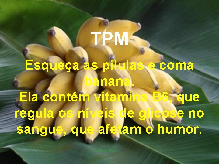 TPM Esqueça as pílulas e coma banana. Ela contém vitamina B 6, que regula