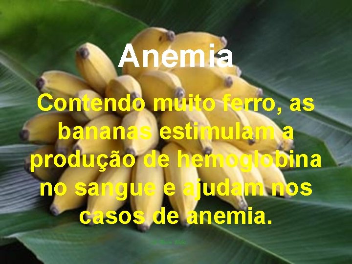 Anemia Contendo muito ferro, as bananas estimulam a produção de hemoglobina no sangue e